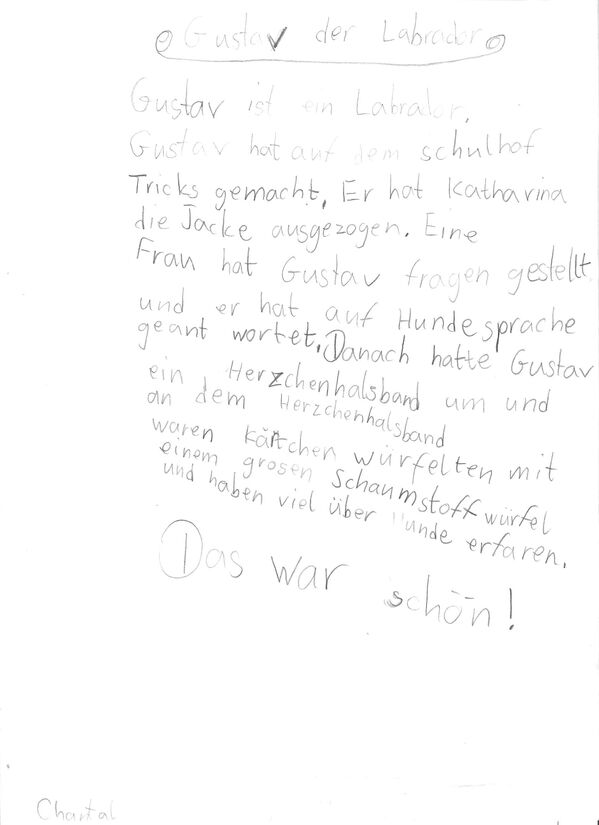 Klicken zum Vergrößern Klicken zum Vergrößern